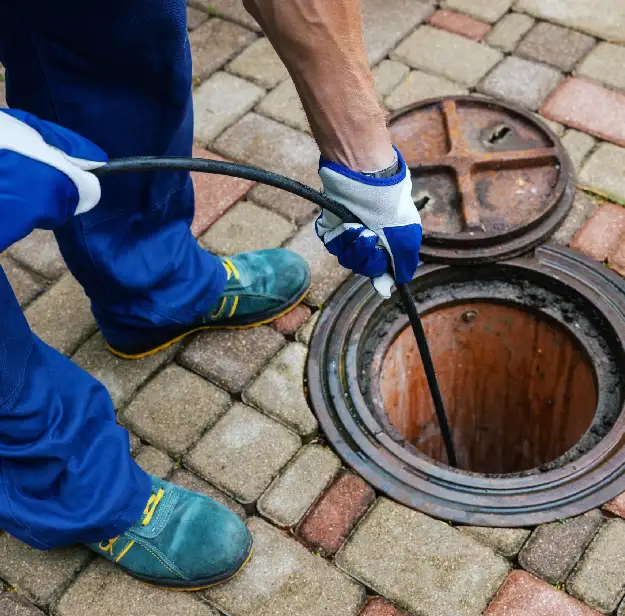 Drain Repairs & Maintenance